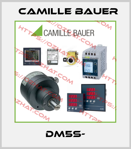 DM5S- Camille Bauer