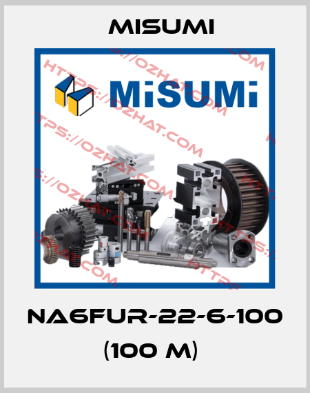 NA6FUR-22-6-100 (100 m)  Misumi