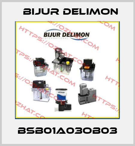 BSB01A03OB03 Bijur Delimon