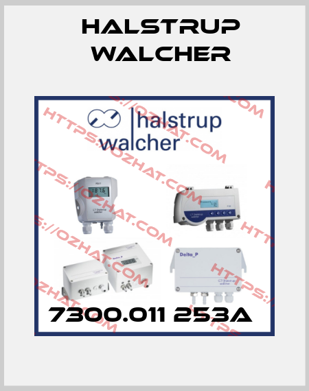 7300.011 253A  Halstrup Walcher