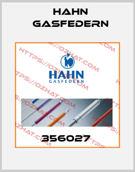 356027  Hahn Gasfedern