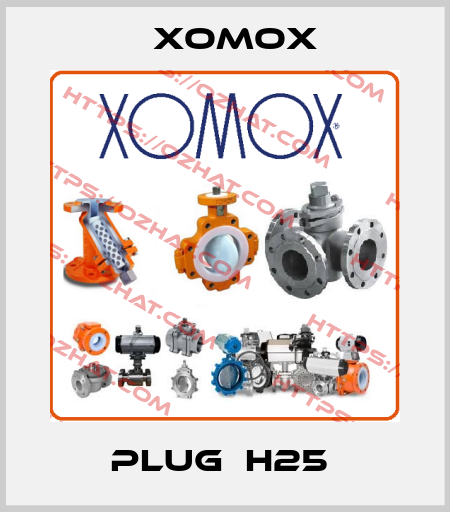 PLUG  H25  Xomox