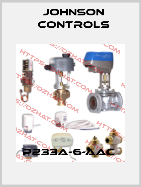 P233A-6-AAC  Johnson Controls