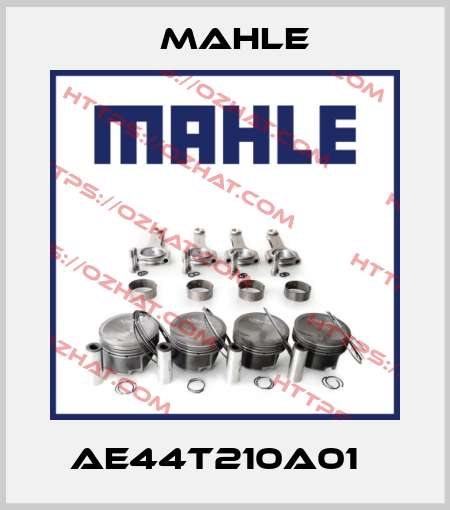 AE44T210A01   MAHLE