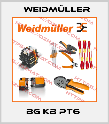 BG KB PT6  Weidmüller