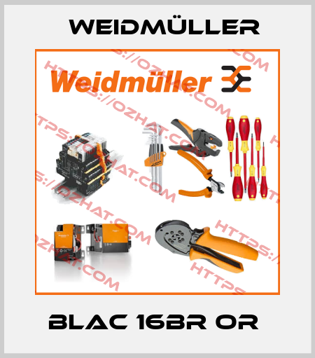 BLAC 16BR OR  Weidmüller