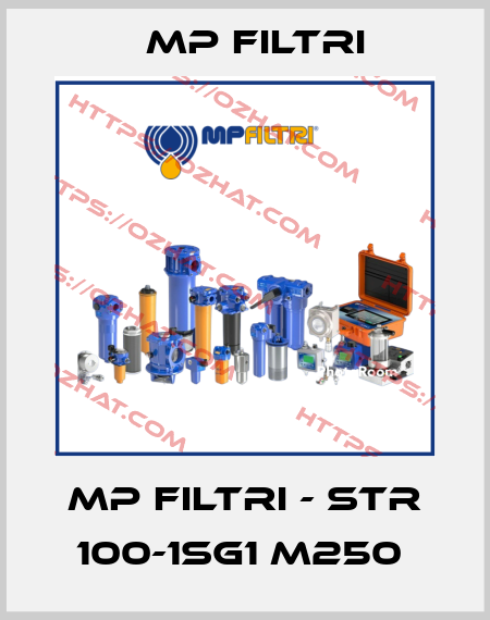 MP Filtri - STR 100-1SG1 M250  MP Filtri