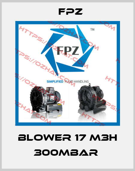 BLOWER 17 M3H 300MBAR  Fpz
