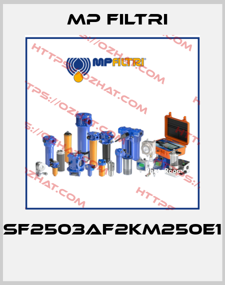 SF2503AF2KM250E1  MP Filtri
