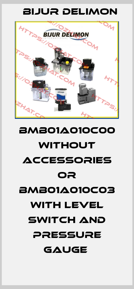 BMB01A010C00 WITHOUT ACCESSORIES OR BMB01A010C03 WITH LEVEL SWITCH AND PRESSURE GAUGE  Bijur Delimon