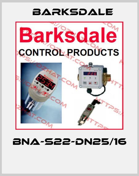 BNA-S22-DN25/16  Barksdale