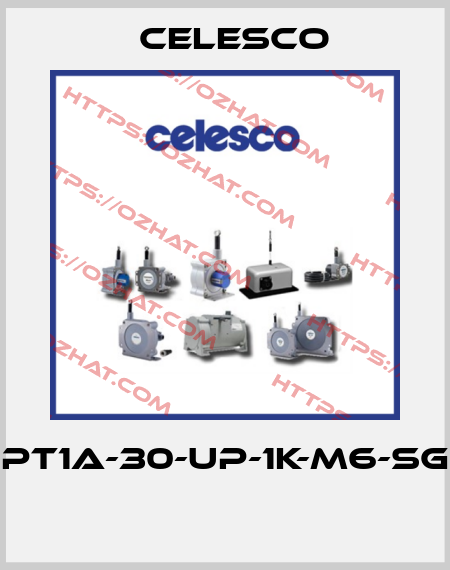 PT1A-30-UP-1K-M6-SG  Celesco