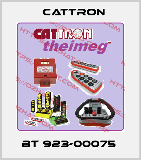 BT 923-00075  Cattron