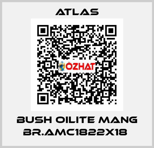 BUSH OILITE MANG BR.AMC1822X18  Atlas