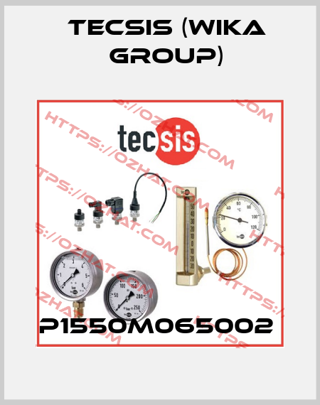 P1550M065002  Tecsis (WIKA Group)