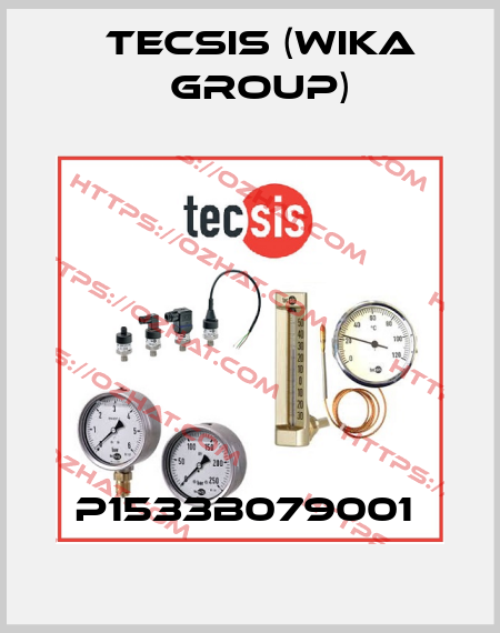P1533B079001  Tecsis (WIKA Group)