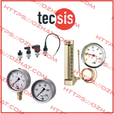 P1534B089901  Tecsis (WIKA Group)