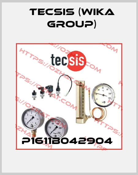 P1611B042904  Tecsis (WIKA Group)