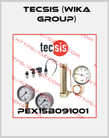 PEX15B091001  Tecsis (WIKA Group)