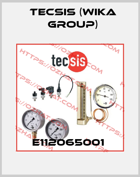 E112065001  Tecsis (WIKA Group)