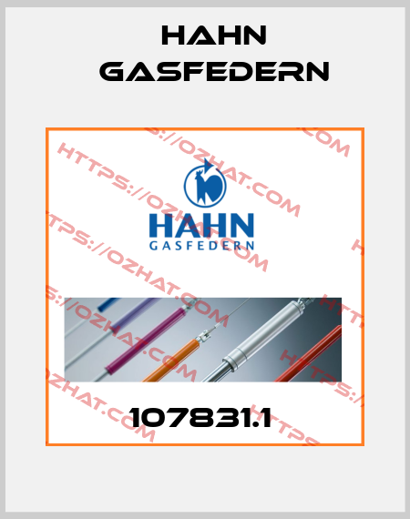 107831.1  Hahn Gasfedern