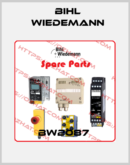 BW2087  Bihl Wiedemann