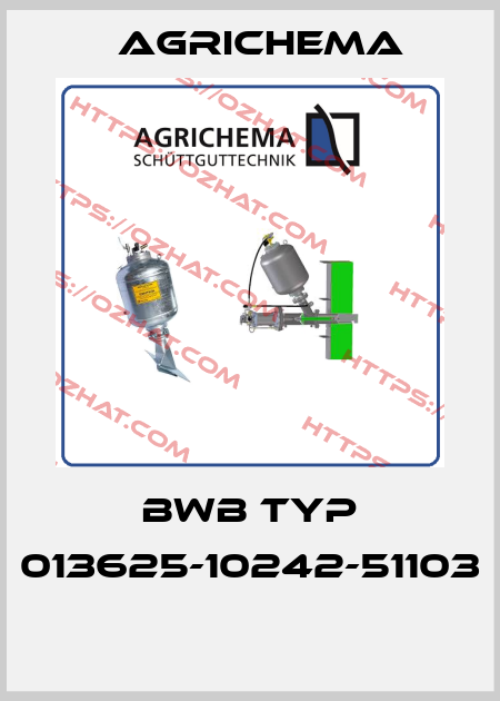 BWB TYP 013625-10242-51103  Agrichema