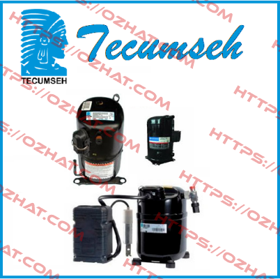 CAE 2417 Z  Tecumseh