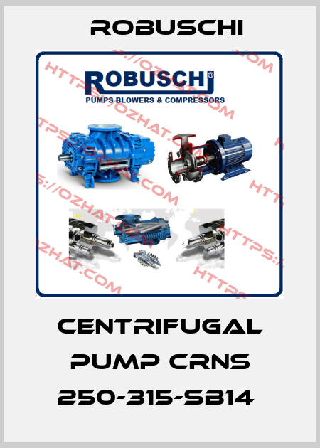 CENTRIFUGAL PUMP CRNS 250-315-SB14  Robuschi