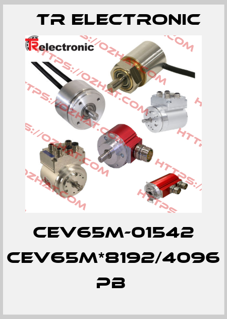 CEV65M-01542 CEV65M*8192/4096 PB  TR Electronic