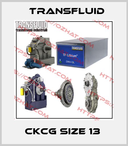 CKCG SIZE 13  Transfluid