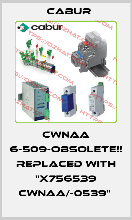 CWNAA 6-509-OBSOLETE!! Replaced with "X756539 CWNAA/-0539"  Cabur