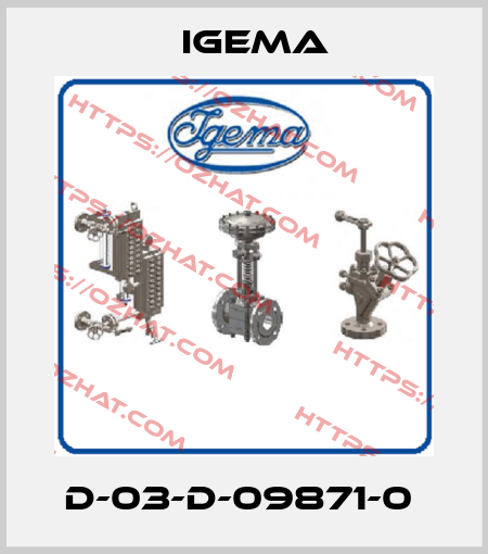 D-03-D-09871-0  Igema