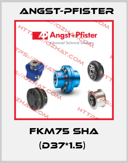 FKM75 ShA (d37*1.5)  Angst-Pfister