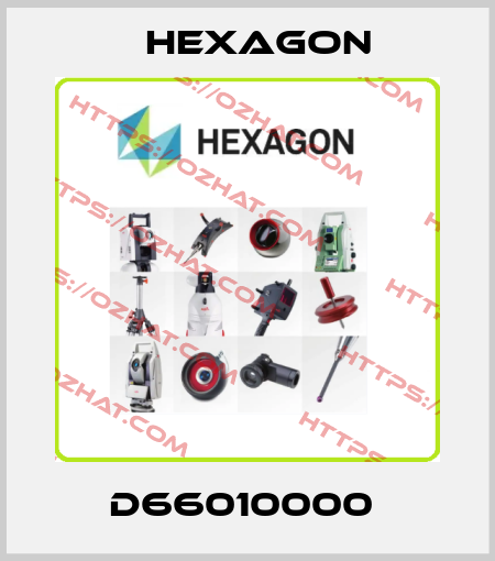 D66010000  Hexagon