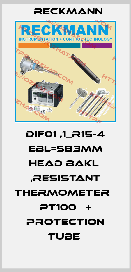 DIF01 ,1_R15-4 EBL=583MM HEAD BAKL  ,RESISTANT THERMOMETER   PT100   + PROTECTION TUBE  Reckmann