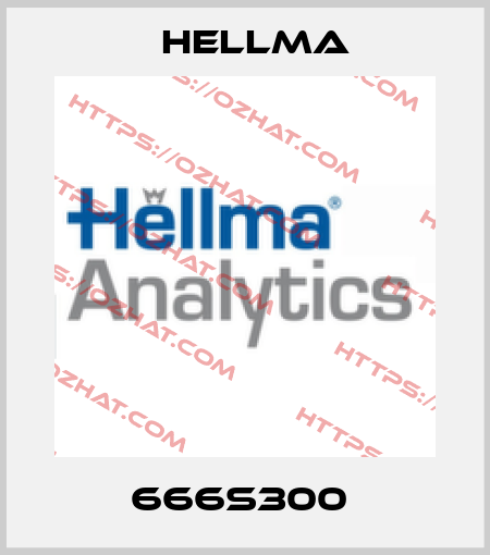 666S300  Hellma