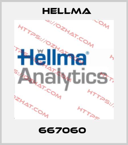 667060  Hellma