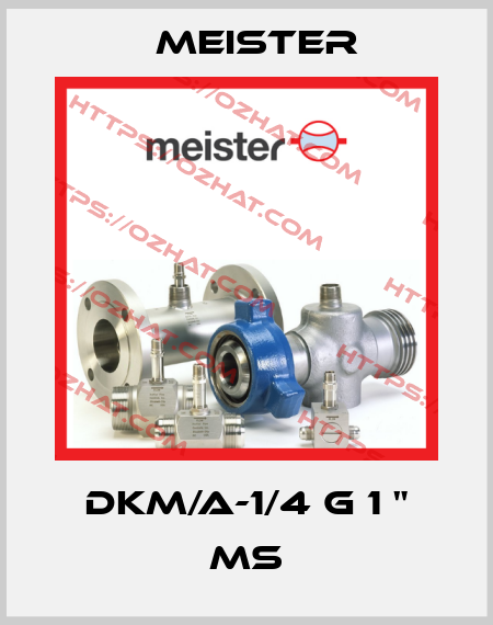 DKM/A-1/4 G 1 " MS Meister