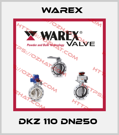 DKZ 110 DN250  Warex