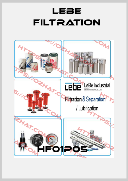 HF01P05  Lebe Filtration