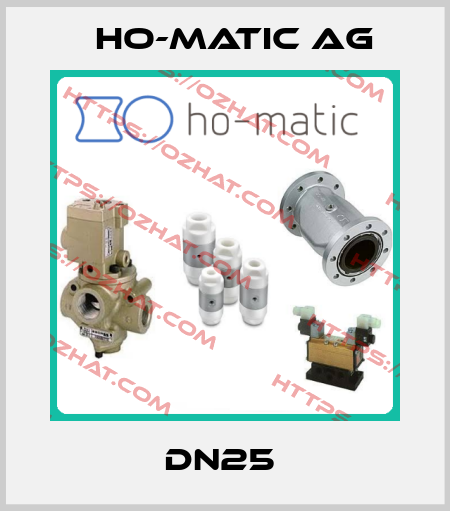 DN25  Ho-Matic AG