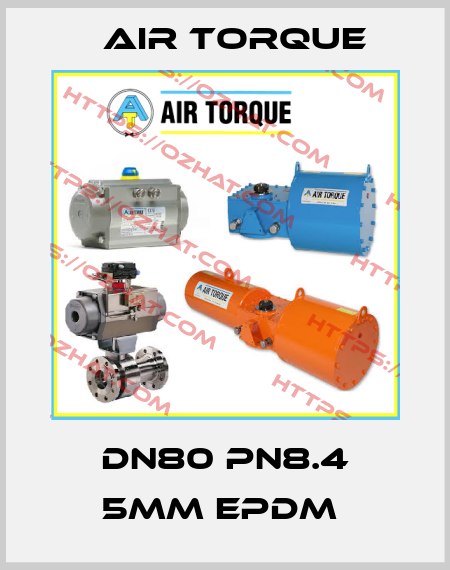 DN80 PN8.4 5MM EPDM  Air Torque