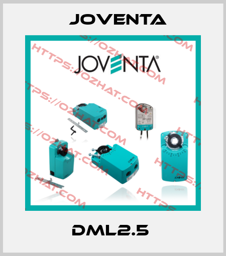 DML2.5  Joventa