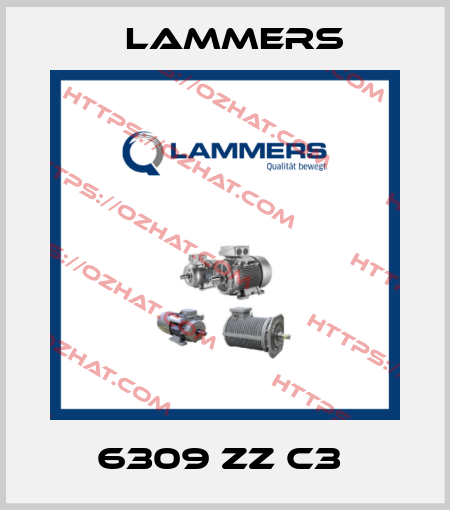 6309 ZZ C3  Lammers