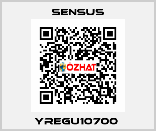 YREGU10700  Sensus