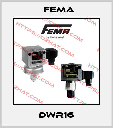 DWR16 FEMA
