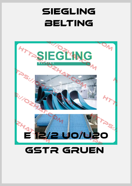 E 12/2 U0/U20 GSTR GRUEN  Siegling Belting