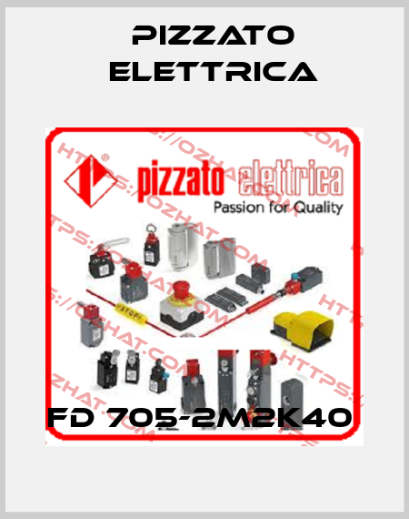 FD 705-2M2K40  Pizzato Elettrica