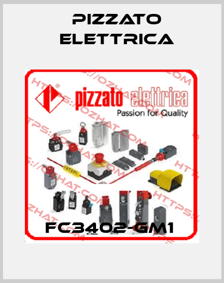 FC3402-GM1  Pizzato Elettrica
